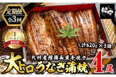 1720-2 【定期（全3回）】大人気！鯉家の極上蒲焼「大トロうなぎ（4尾）」【国産・手焼き備長炭】　KN040-T01
