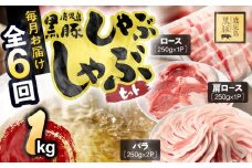 1379-3 【6ヶ月定期便】鹿児島県産黒豚しゃぶしゃぶセット（バラ・肩ロース・ロース）1kg　KN054-T01