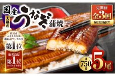 2082-1 鹿児島県大隅産うなぎ蒲焼5尾（750g） 【3ヶ月定期】　KN007-T04