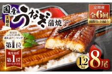 2083-1 鹿児島県大隅産うなぎ蒲焼8尾（1.2kg）【6ヶ月定期】　KN007-T05