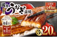 2084-1 鹿児島県大隅産うなぎ蒲焼20尾（3kg）【6ヶ月定期】　KN007-T06