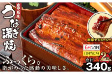 2323-1 【6回定期】鹿児島産うなぎ170g×2尾 合計340g　KN021-T19
