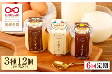 2359 【6回定期】とろふわ！プレミアムプリン3種12個　KN021-T22