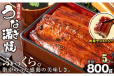 2442 鹿児島産うなぎ160g×5尾合計800g　KN021-013-05