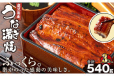 2446 鹿児島産うなぎ180g×3尾合計540g　KN021-015-03