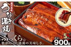 2448 鹿児島産うなぎ180g×5尾合計900g　KN021-015-05