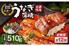 2484 【定期12回】大隅特産うなぎ蒲焼3尾（510g）【国産】　KN060-T08