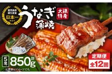 2490 【定期12回】大隅特産うなぎ蒲焼5尾（850g）【国産】　KN060-T14
