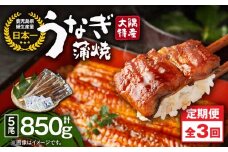 2488 【定期3回】大隅特産うなぎ蒲焼5尾（850g）【国産】　KN060-T12