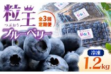 2467-1 【全3回定期便】（2ヶ月に1回お届け）粒王 ブルーベリー 1.2kg（400g×3P）　KN030-T01