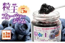 2468-1  【全3回定期便】（2ヶ月に1回お届け）粒王 ブルーベリージャム 200g×5個　KN030-T02