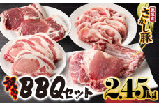 2506 鹿屋産豚 BBQセット 計2.45kg　KN079-014