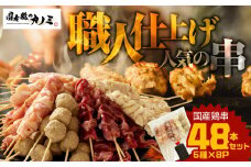 2458 国産 鶏串48本セット（6種×8パック）　KN077-004