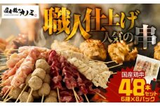 2458 国産 鶏串 48本セット（6種×8パック）　KN077-004