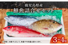 2530 鹿児島県産鮮魚詰合せセット（3～4尾）　KN025-004-01