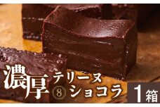 2522 オクタス テリーヌショコラ 1箱　KN021-026-01