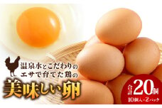 2525 温泉水とこだわりのエサで育てた鶏のおいしい卵 20個（10個入×2パック）※18個+破卵保障2個　KN021-035