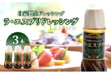 2528 ラ・エスプリドレッシング 280ml×3本 口コミで広まった自家製ドレッシング！　KN021-033-01