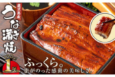 2520 鹿児島産うなぎ160g×1尾 清らかな地下水育ち！ 国産 本格 うなぎ 鰻 蒲焼（鹿児島）　KN021-013-01