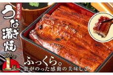 2520 鹿児島産うなぎ160g×1尾 清らかな地下水育ち！ 国産 本格 うなぎ 鰻 蒲焼（鹿児島）　KN021-013-01