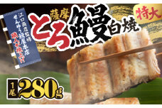 2519 【江口商店監修】薩摩トロ鰻白焼特大サイズ一尾 280g　KN084-004