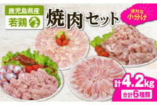 2653 若鶏焼肉4.2kgセット　KN105-001