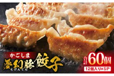2773 かごしま夢幻豚餃子 12個×5P　KN021-037-01
