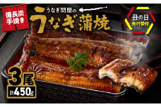 1773-3B 【土用の丑の日予約】うなぎ問屋の 備長炭手焼 うなぎ蒲焼3尾（450g）　KN029-001-03B