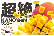 2831 超絶！KANOYeah！マンゴー 1kg（2～3玉）　KN112-001