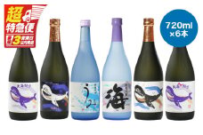 【超特急便】2859 【地元特約店限定】 鹿児島の代表酒造・大海酒造 本格芋焼酎をお手軽に呑み比べセット 720ml×6本セット　KN031-012