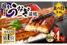 2869 【先行予約】鹿児島県大隅産うなぎ蒲焼4尾（600g）　KN007-004-01