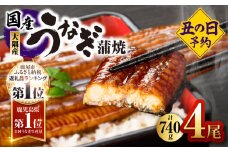 2870 【先行予約】【数量限定】鹿児島県大隅産うなぎ蒲焼4尾（740g）　KN007-004-02
