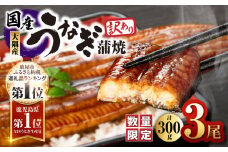 【訳あり】【数量限定】鹿児島県大隅産うなぎ蒲焼き3尾セット（計300g）　KN007-003-01