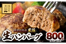 鹿児島県産黒豚生ハンバーグ（80g×10個）　800g　KN054-013