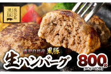 鹿児島県産黒豚生ハンバーグ（80g×10個）　800g　KN054-013