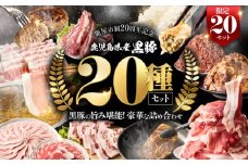 【期間限定 GCF限定お礼の品】鹿児島県産 黒豚 20種類入りセット【20セット限定】　KN054-G02