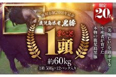 【期間限定 GCF限定お礼の品】鹿児島県産 黒豚 まるごと1頭を20名限定お届け！　KN054-G01