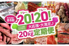 【期間限定 GCF限定お礼の品】【全6回定期便】20（フレー）！20（フレー）！鹿屋大応援・大満足 20kg　KN000-T02