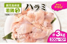 鹿児島県産若鶏ハラミ 3kgセット　KN105-017