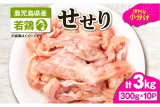 鹿児島県産若鶏せせり（小肉） 3kgセット　KN105-018