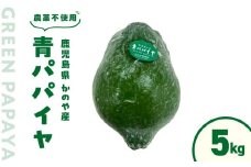 かのや産青パパイヤ 約5kg 【農薬不使用】　KN026-019-01
