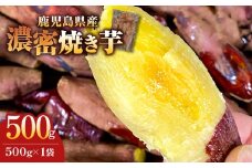 2683 濃密 鹿児島県産 焼き芋 500g　KN097-003-01