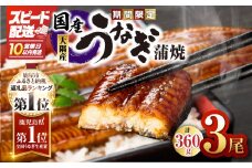 【10営業日以内に発送】鹿児島県大隅産うなぎ蒲焼3尾セット（計360g）　KN007-021-sp