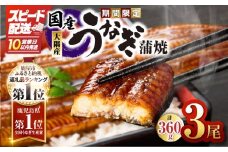 【10営業日以内に発送】鹿児島県大隅産うなぎ蒲焼3尾セット（計360g）　KN007-021-sp
