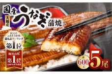 鹿児島県大隅産うなぎ蒲焼5尾セット（計600g）　KN007-022