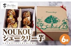 NOUKOUシュークリー芋 6個入り　KN035-008-02