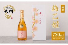 うまかぞー九州 本格梅酒 梅乙姫 720ml 梅酒　KN163-002
