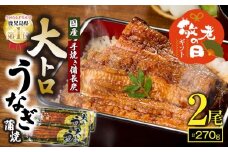 【敬老の日ギフト】日頃の感謝を込めて 鯉家特製 大トロうなぎ蒲焼（135g×2尾）　KN040-002-01k