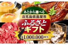 あとからセレクト【ふるさとギフト】100万円　KN000-AS0100
