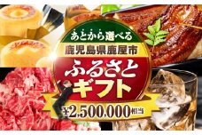 あとからセレクト【ふるさとギフト】250万円　KN000-AS0250